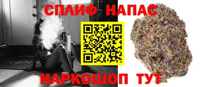 молекула духа Пенза