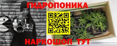 молекула духа Пенза