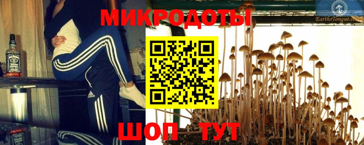 Прокопьевск  Галлюциногенные грибы мухоморы  Псилоцибиновые грибы Cubensis  Вход с VPN 